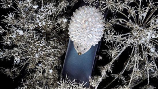 Chopard 全新動(dòng)物世界系列刺猬腕表 刺猬腕表 動(dòng)物世界系列 蕭邦 Chopard 新表預(yù)覽  第2張